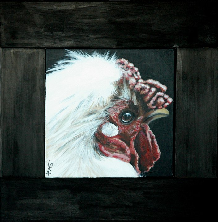 Tête de poule blanche