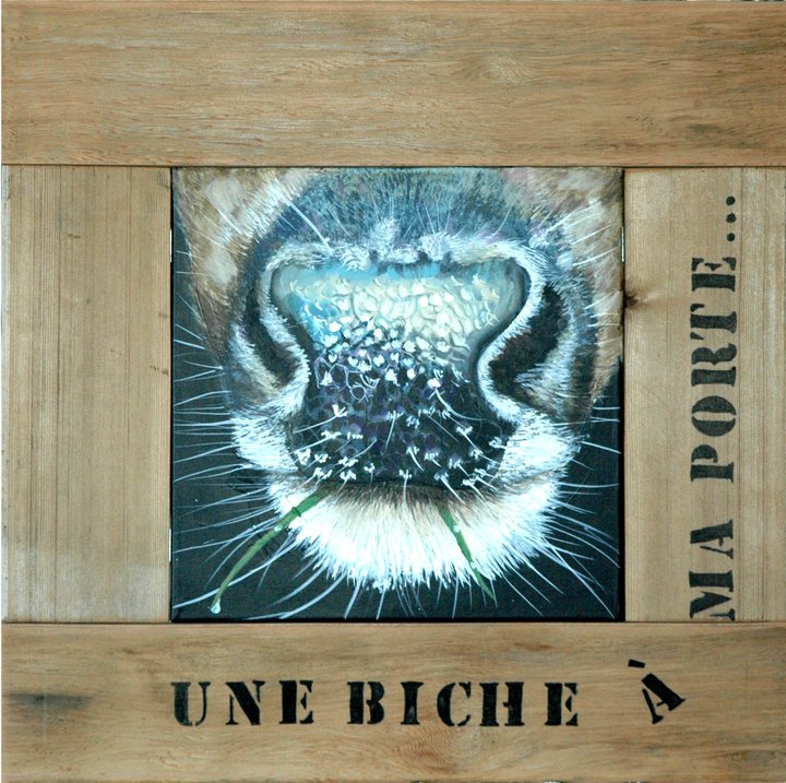 Biche à ma porte