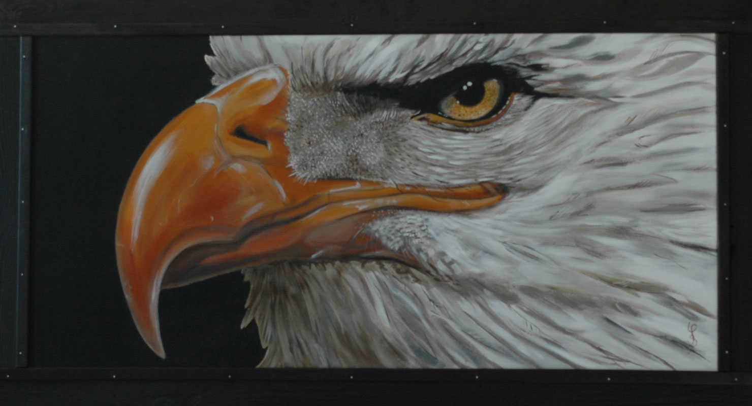 Aigle américain