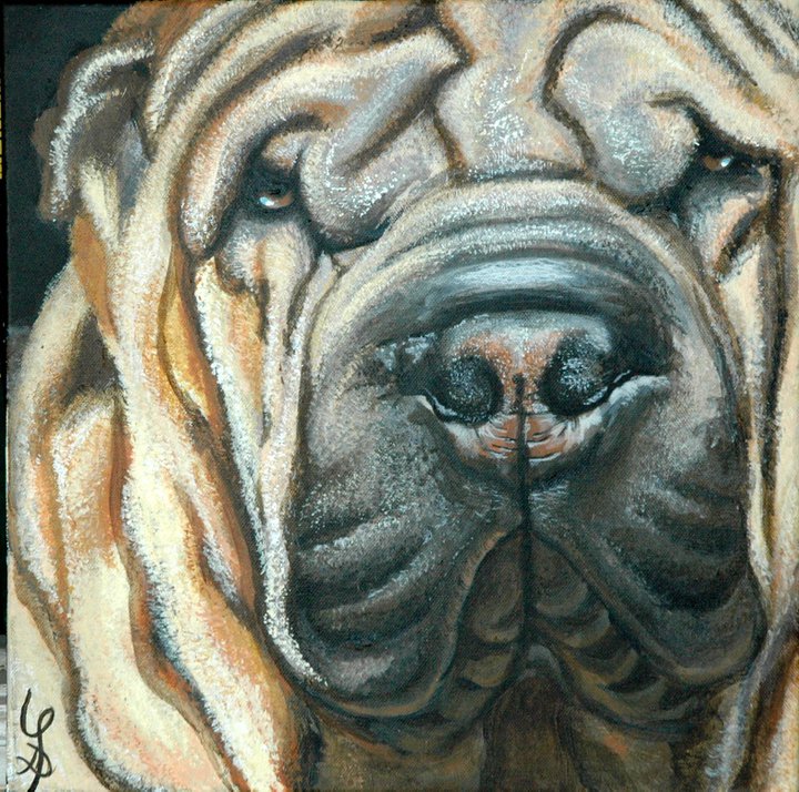 Shar-peï