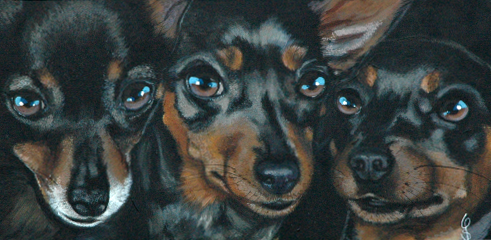 Trois Petits Pinschers