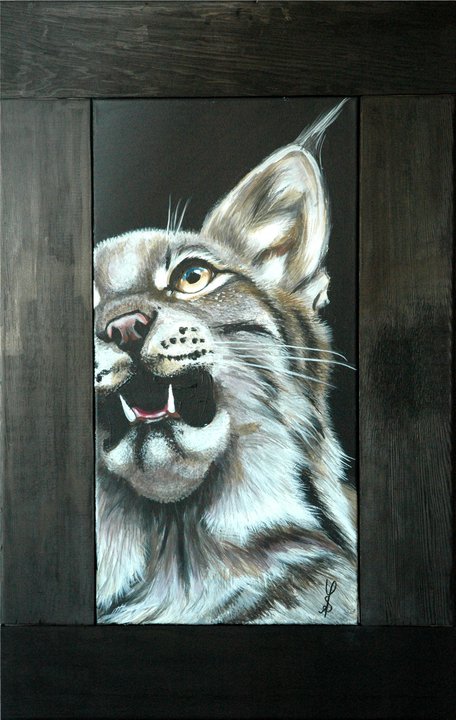 Lynx