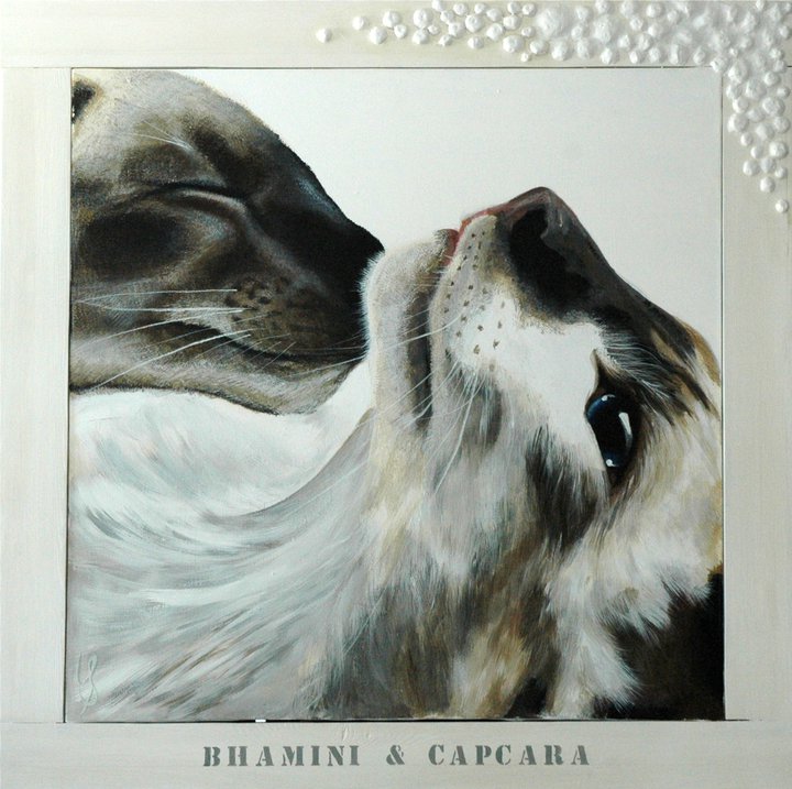 Bhamini & Capcara