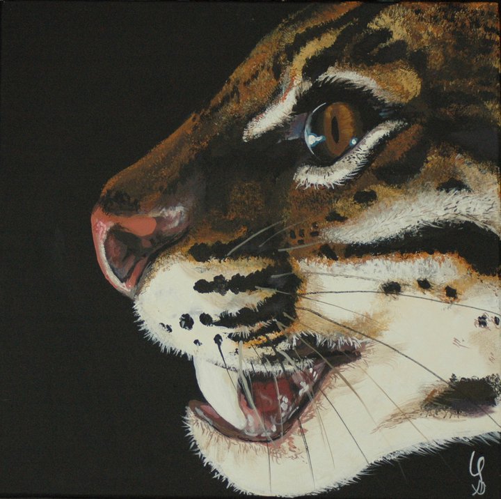 Ocelot
