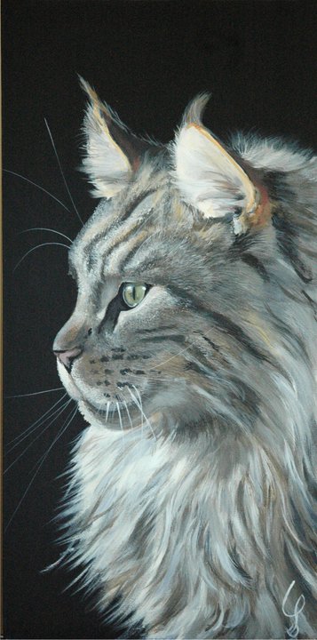 Maine Coon