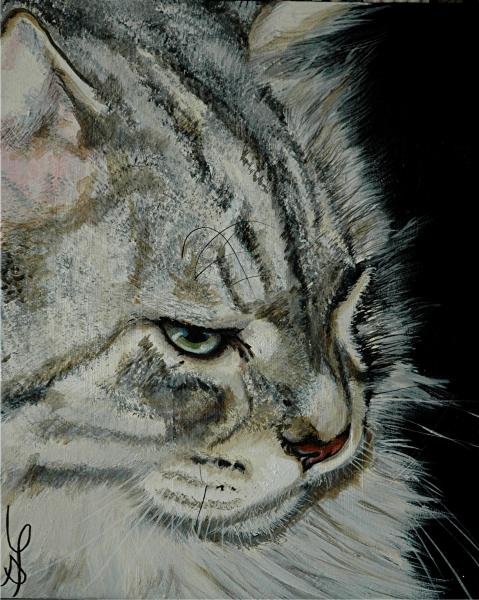 Minou Maou